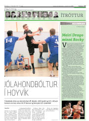Síða 27