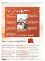 Síða 30