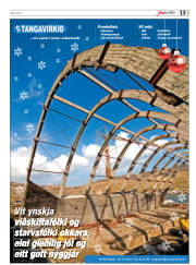 Síða 41