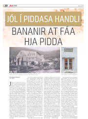 Síða 48
