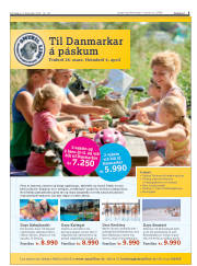 Síða 5