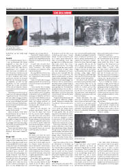 Síða 15