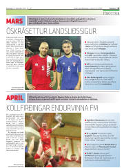 Síða 19