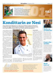 Síða 33