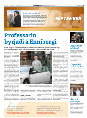 Síða 35