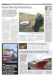 Síða 12