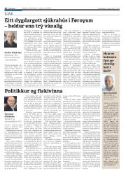 Síða 18