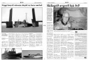Síða 3