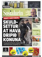 Síða 1