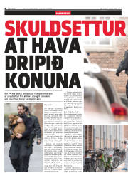 Síða 8