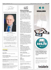 Síða 29
