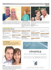 Síða 31