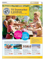 Síða 3
