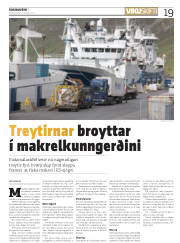 Síða 19