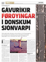 Síða 22