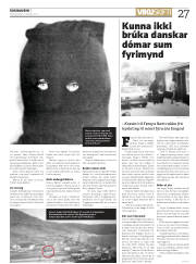 Síða 27