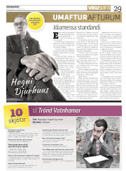 Síða 29