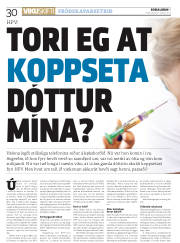 Síða 30