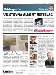 Síða 2