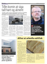 Síða 14