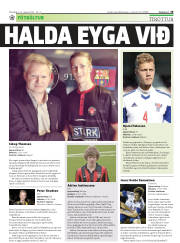 Síða 29