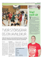 Síða 31