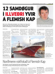 Síða 11