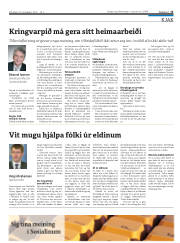 Síða 13