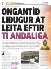 Síða 6