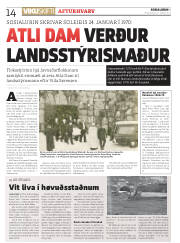 Síða 14