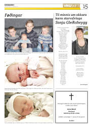 Síða 15