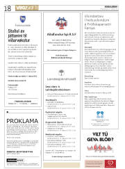 Síða 18