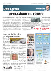 Síða 2