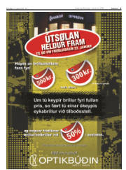 Síða 3