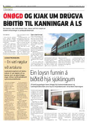 Síða 4