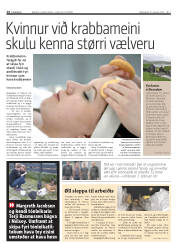 Síða 14
