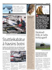 Síða 15