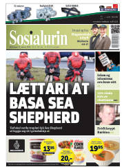 Síða 1