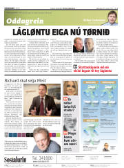 Síða 2