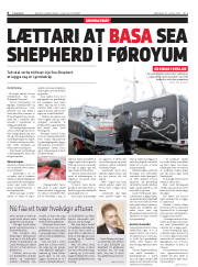 Síða 6