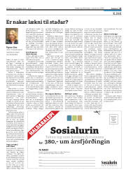 Síða 15