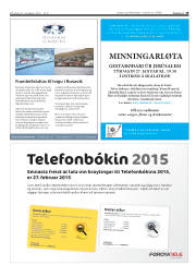 Síða 19