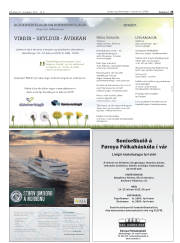 Síða 25