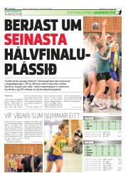 Síða 30