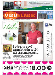 Síða 33