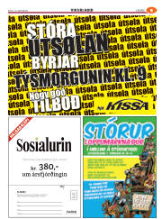 Síða 41