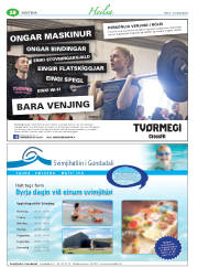 Síða 60