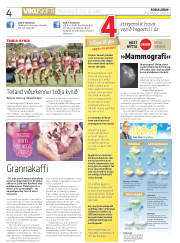 Síða 4