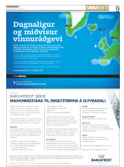 Síða 9