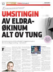 Síða 12
